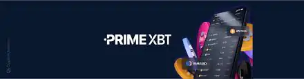 Maximize Your Investments with Crypto Trading PrimeXBT